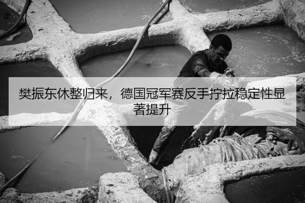 樊振东休整归来，德国冠军赛反手拧拉稳定性显著提升
