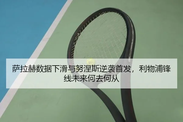 sa-la-he-shu-ju-xia-hua-yu-nu-nie-si-ni-xi-shou-fa-li-wu-pu-feng-xian-wei-lai-he-qu-he-cong-2-755.jpg