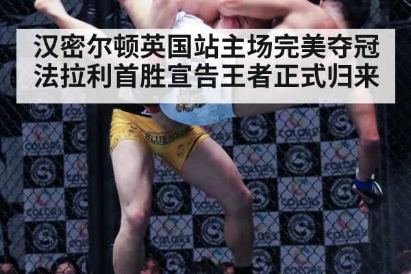 汉密尔顿英国站主场完美夺冠 法拉利首胜宣告王者正式归来
