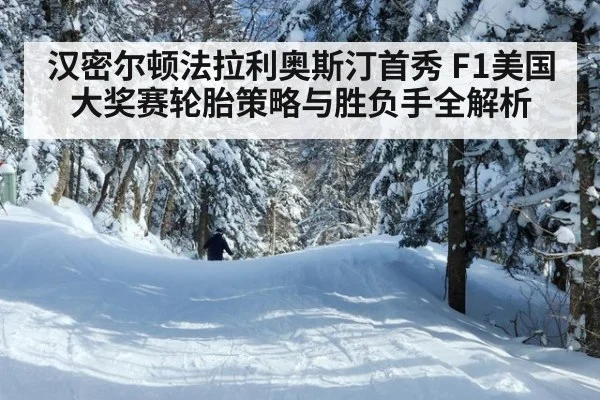 汉密尔顿法拉利奥斯汀首秀 F1美国大奖赛轮胎策略与胜负手全解析