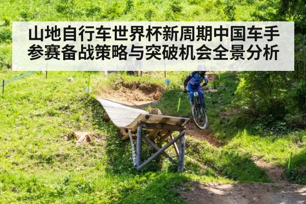 downhill mountain biking trail